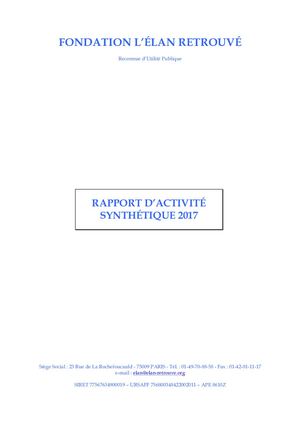 Rapport 2017 - Synthétique