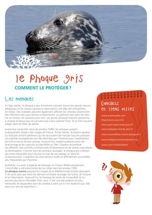 Fiche P'tits Mousses - Phoque gris, comment le protéger ?