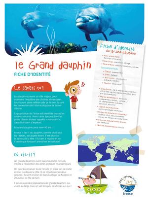 Fiche P'tits Mousses - Grand dauphin, qui es-tu ?