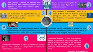 Infografía Derecho Humano Persona Privada De Libertad