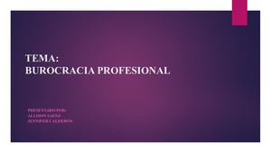 Burocracia Profesional