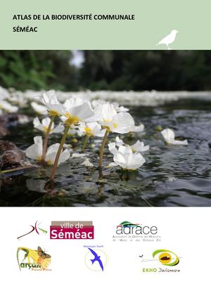 Abc Séméac Rapport complet 2020