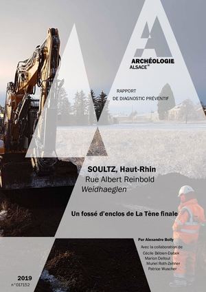SOULTZ-HAUT-RHIN, Rue Albert Reinbold, Weidhaeglen (d)