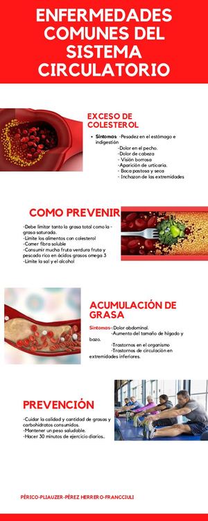 Verde Ilustración Mariposa Cronograma Infografía