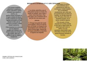 BOSQUES CONIFERAS Y DE CADUCIFOLIOS