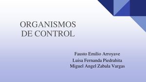 Organos De Control Power Point