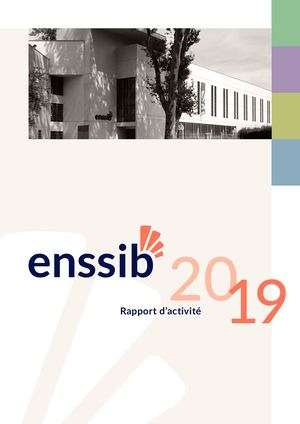 Enssib Rapport D'activités 2019
