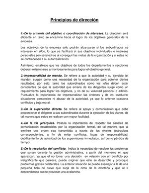 11 Principios De Dirección