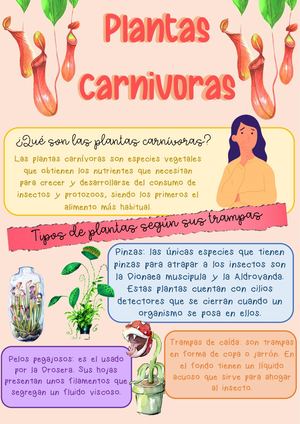 Plantas Carnívoras