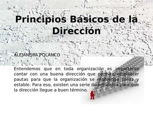 Principios Básicos De La Dirección