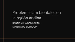 Problemas Ambientales En La Región Andina