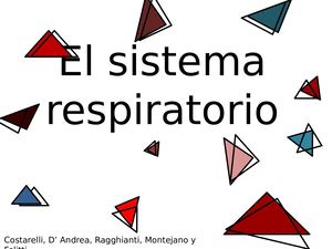 El Sistema Respiratorio