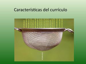 Caracteristicas Del Curriculo