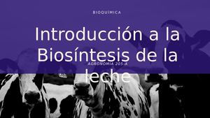 Biosíntesis De La Leche