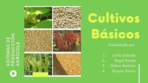 Cultivos Básicos