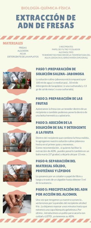 Extracción De Adn De Fresas