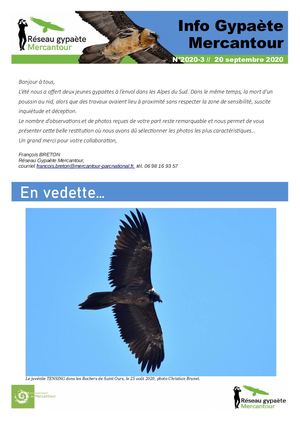 Info Gypaète Mercantour 2020 n°3
