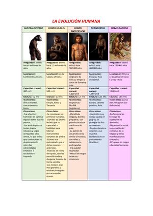 Evolución Humana