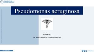 Pseudomonas aeruginosa