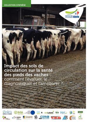 batiment-vl-sols-circulation.pdf