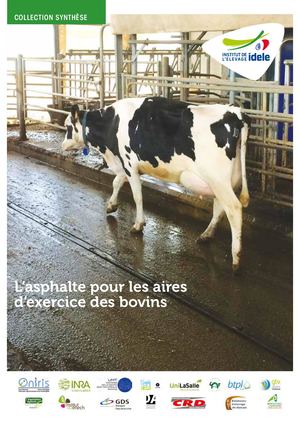 batiment-vl-sols-asphalte.pdf