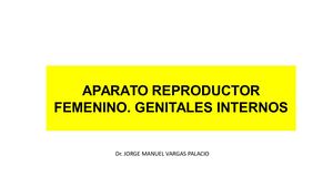Genitales Internos Femeninos