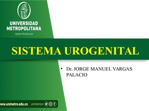 Embriología del Sistema Urogenital