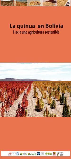 La quinua en Bolivia