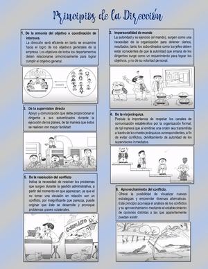 Principio De Dirección