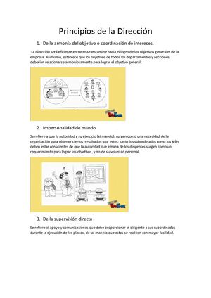Principios De La Dirección