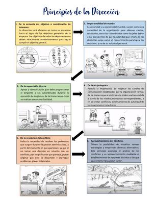 Principios De Dirección