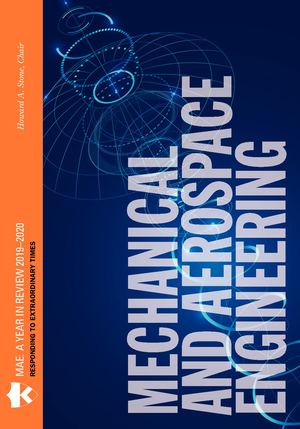 MAE Annual Report 2020