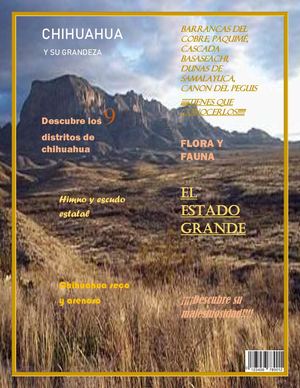 Revista Historia Y Cultura Regional Chihuahua Y Su Grandeza 501