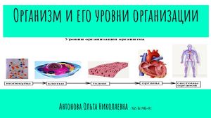 Организм и его уровни организации