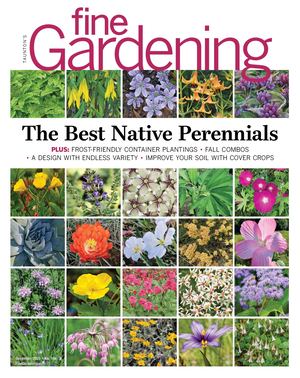 Fine Gardening - 196 Preview