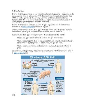 Gripe Porcina