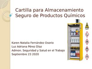 Cartilla Para Almacenamiento Seguro De Productos Químicos