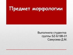 морфология