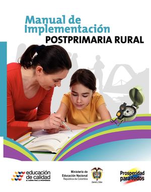 Manual De Implementacion
