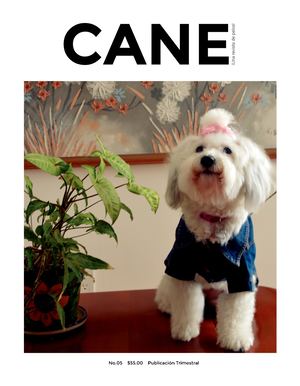CANE 05
