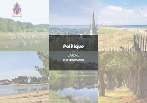 Politique De L'arbre