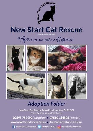 New Start Cat Rescue 6 Page E Brochure