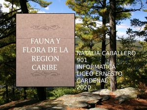 Flora Y Fauna De La Region Caribe