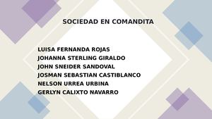 Presentación Sociedad En Comandita (2)