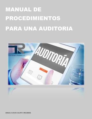 Manual De Procedimientos Para Auditoria Pfd