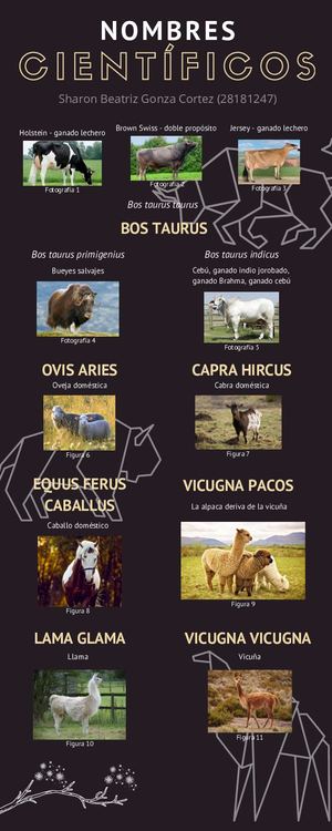 Nombres Científicos