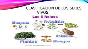 Clasificacion De Los Seres Vivos