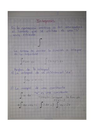 Integrales Ejercicios