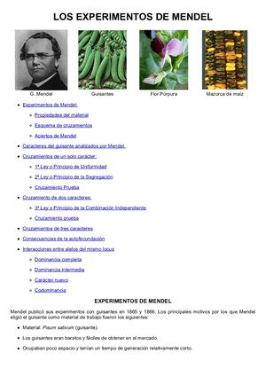 Los Experimentos De Mendel