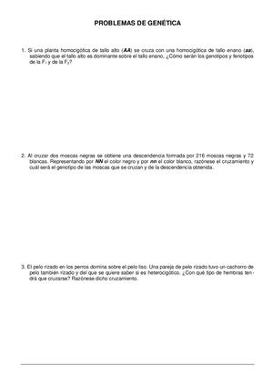 Problemas De Genética